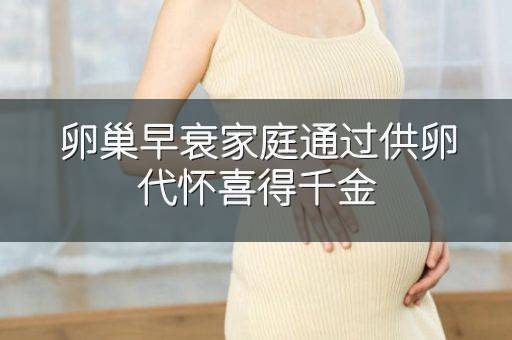 卵巢早衰家庭通过供卵代怀喜得千金