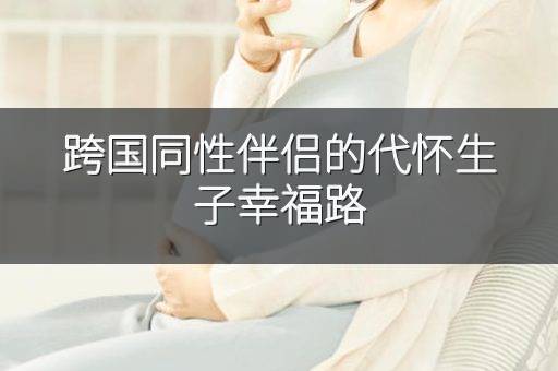 跨国同性伴侣的代怀生子幸福路