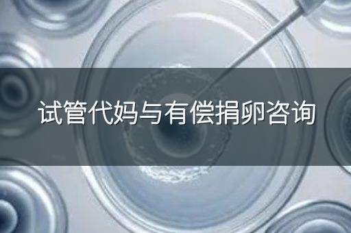试管代妈与有偿捐卵咨询