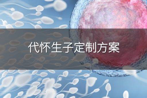 代怀生子定制方案