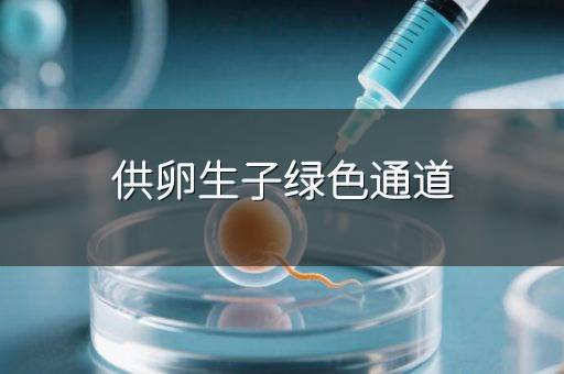 供卵生子绿色通道