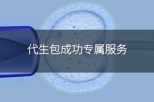 代生包成功专属服务